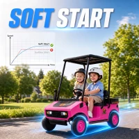 Qaba 24V Kids Golf Cart 2WD 2-Seater with Remote, Soft Start, Rear Suspension, Sunshade, Storage, Gift for 3-6 Years, Pink(m-7)