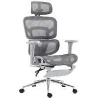 HOMCOM Ergonomic Office Chair with Lumbar Support, 2D Headrest, Mesh Reclining Desk Chair with Footrest, Swivel Wheels, Grey(m-2)