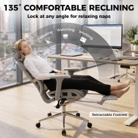 HOMCOM Ergonomic Office Chair with Lumbar Support, 2D Headrest, Mesh Reclining Desk Chair with Footrest, Swivel Wheels, Grey(m-6)