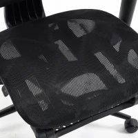 HOMCOM Ergonomic Office Chair with Lumbar Support, 2D Headrest, Mesh Reclining Desk Chair with Footrest, Swivel Wheels, Black(m-11)