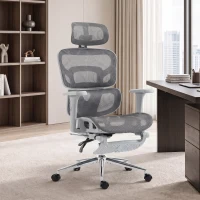 HOMCOM Ergonomic Office Chair with Lumbar Support, 2D Headrest, Mesh Reclining Desk Chair with Footrest, Swivel Wheels, Gray(m-10)