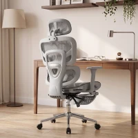 HOMCOM Ergonomic Office Chair with Lumbar Support, 2D Headrest, Mesh Reclining Desk Chair with Footrest, Swivel Wheels, Gray(m-8)