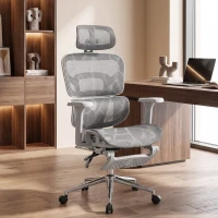HOMCOM Ergonomic Office Chair with Lumbar Support, 2D Headrest, Mesh Reclining Desk Chair with Footrest, Swivel Wheels, Gray(m-2)