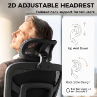 HOMCOM Ergonomic Office Chair with Lumbar Support, 2D Headrest, Mesh Reclining Desk Chair with Footrest, Swivel Wheels, Black(m-5)