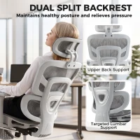 HOMCOM Ergonomic Office Chair with Lumbar Support, 2D Headrest, Mesh Reclining Desk Chair with Footrest, Swivel Wheels, Gray(m-4)