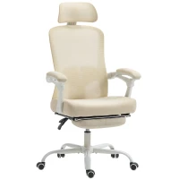 HOMCOM Ergonomic Office Chair, Mesh Reclining Desk Chair with Adjustable Lumbar Support, Headrest, Beige(m-2)