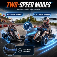 Qaba 24V Electric Drift Go Kart for Kids with Dual Motors, Soft Start, PU Wheels, 7.5MPH High Speed, for Ages 6+, Gray(m-6)