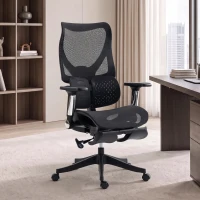 HOMCOM Ergonomic Office Chair with Lumbar Support, Mesh Reclining Desk Chair with Footrest, Adjustable High Back, Black(m-10)