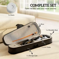HOMCOM 4/4 Full Size Violin, Wood Acoustic Violin Set for Beginners, Adults, with Case, Rosin, Shoulder Rest, Black(m-4)