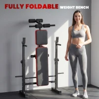 Soozier 924LBS Adjustable Weight Bench with Bench Press Rack, Dip Station, Flat & Incline Design for Home Gym Strength Training(m-6)