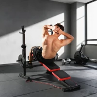 Soozier 924LBS Adjustable Weight Bench with Bench Press Rack, Dip Station, Flat & Incline Design for Home Gym Strength Training(m-8)