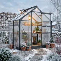 Outsunny Greenhouse Garden, Green House, Outdoor Greenhouse Kit, PC Board with Sliding Door, 6.2' x 4.3' x 6.6', Grey(m-9)