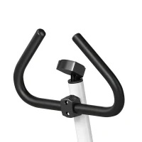 Soozier Twist Stepper Exercise Machine with Adjustable Resistance, LCD Screen - White & Green(m-10)