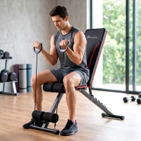 Soozier Adjustable Weight Bench for Home Gym, Foldable Incline Decline Bench Press with Resistance Bands, 7-Position Backrest(m-1)