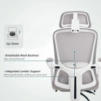 HOMCOM Ergonomic Office Chair, Mesh Reclining Desk Chair with Adjustable Lumbar Support, Headrest, Grey(m-5)