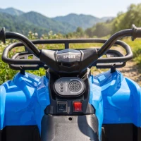Qaba 12V Ride on ATV, 4 Wheeler for Kids with Dual Motors, Soft Start, Battery Display, Music, Lights for 3-8 Years, Blue(m-8)