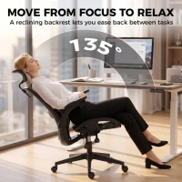 HOMCOM Ergonomic Office Chair with Adaptive Lumbar Support, Reclining Mesh Desk Chair with 2D Headrest, Flip-Up Arms, Black(m-5)