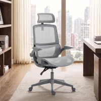HOMCOM Ergonomic Office Chair with Adaptive Lumbar Support, Reclining Mesh Desk Chair with 2D Headrest, Flip-Up Arms, Gray(m-10)