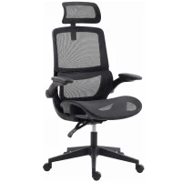 HOMCOM Ergonomic Office Chair with Adaptive Lumbar Support, Reclining Mesh Desk Chair with 2D Headrest, Flip-Up Arms, Black(m-1)