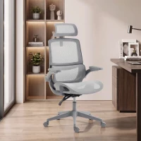 HOMCOM Ergonomic Office Chair with Adaptive Lumbar Support, Reclining Mesh Desk Chair with 2D Headrest, Flip-Up Arms, Gray(m-8)