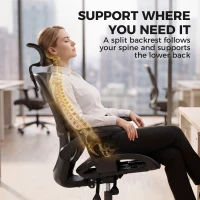 HOMCOM Ergonomic Office Chair with Adaptive Lumbar Support, Reclining Mesh Desk Chair with 2D Headrest, Flip-Up Arms, Black(m-4)