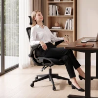 HOMCOM Ergonomic Office Chair with Adaptive Lumbar Support, Reclining Mesh Desk Chair with 2D Headrest, Flip-Up Arms, Black(m-9)
