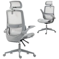 HOMCOM Ergonomic Office Chair with Adaptive Lumbar Support, Reclining Mesh Desk Chair with 2D Headrest, Flip-Up Arms, Gray(m-11)