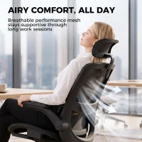 HOMCOM Ergonomic Office Chair with Adaptive Lumbar Support, Reclining Mesh Desk Chair with 2D Headrest, Flip-Up Arms, Black(m-7)