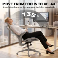 HOMCOM Ergonomic Office Chair with Adaptive Lumbar Support, Reclining Mesh Desk Chair with 2D Headrest, Flip-Up Arms, Gray(m-5)
