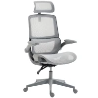 HOMCOM Ergonomic Office Chair with Adaptive Lumbar Support, Reclining Mesh Desk Chair with 2D Headrest, Flip-Up Arms, Gray(m-1)