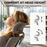 HOMCOM Ergonomic Office Chair with Adaptive Lumbar Support, Reclining Mesh Desk Chair with 2D Headrest, Flip-Up Arms, Gray(m-6)