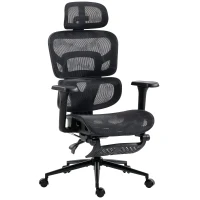 HOMCOM Ergonomic Office Chair with Lumbar Support, 2D Headrest, Mesh Reclining Desk Chair with Footrest, Swivel Wheels, Black(m-1)