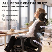 HOMCOM Ergonomic Office Chair with Lumbar Support, 2D Headrest, Mesh Reclining Desk Chair with Footrest, Swivel Wheels, Black(m-7)