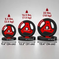 Soozier 88 lbs Weight Plates Set, 6-Piece Sand-Filled Standard Plates with Handles and 1" Centre Hole, Black and Red(m-3)