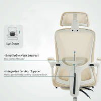 HOMCOM Ergonomic Office Chair, Mesh Reclining Desk Chair with Adjustable Lumbar Support, Headrest, Beige(m-5)