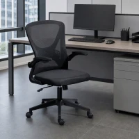Vinsetto Mesh Office Chair, Swivel Desk Chair with Lumbar Back Support, Adjustable Height, Flip-Up Arm, Black(m-8)