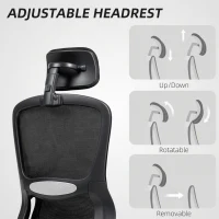 HOMCOM Ergonomic Mesh Office Chair, High Back Desk Chair with Rotatable Headrest, Flip-Up Armrests, Lumbar Support, Black(m-5)