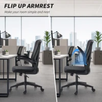 Vinsetto Mesh Office Chair, Swivel Desk Chair with Lumbar Back Support, Adjustable Height, Flip-Up Arm, Black(m-5)