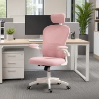 Vinsetto Office Chair, Mesh Computer Desk Chair with Adjustable Headrest, 4D Lumbar Support, Flip-up Arm, Pink(m-8)