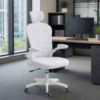 Vinsetto Office Chair, Mesh Computer Desk Chair with Adjustable Headrest, 4D Lumbar Support, Flip-up Arm, White(m-1)