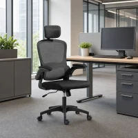 HOMCOM Ergonomic Mesh Office Chair, High Back Desk Chair with Rotatable Headrest, Flip-Up Armrests, Lumbar Support, Black(m-8)