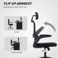 HOMCOM Ergonomic Mesh Office Chair, High Back Desk Chair with Rotatable Headrest, Flip-Up Armrests, Lumbar Support, Black(m-7)