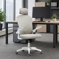 Vinsetto Office Chair, Mesh Computer Desk Chair with Adjustable Headrest, 4D Lumbar Support, Flip-up Arm, Grey(m-8)