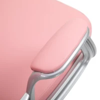 Vinsetto Office Chair, Computer Desk Chair with Adjustable Height and Tufted Back, Pink(m-10)