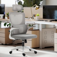 Vinsetto Ergonomic Office Chair, Mesh Computer Desk Chair with Adjustable Headrest, 4D Lumbar Support, Flip-up Arm, Grey