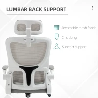 Vinsetto Ergonomic Office Chair, Mesh Computer Desk Chair with Adjustable Headrest, 4D Lumbar Support, Flip-up Arm, Grey(m-6)