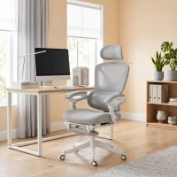 HOMCOM Mesh Desk Chair with Adjustable Headrest, Reclining Ergonomic Office Chair with Footrest, Light Grey(m-11)