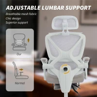 HOMCOM Mesh Desk Chair with Adjustable Headrest, Reclining Ergonomic Office Chair with Footrest, Light Grey(m-5)