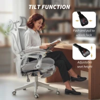 HOMCOM Mesh Desk Chair with Adjustable Headrest, Reclining Ergonomic Office Chair with Footrest, Light Grey(m-9)