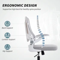 HOMCOM Ergonomic Office Chair, Swivel Desk Chair with Adjustable Lumbar Support and Height, Flip-up Armrests, Wheels, Grey(m-4)